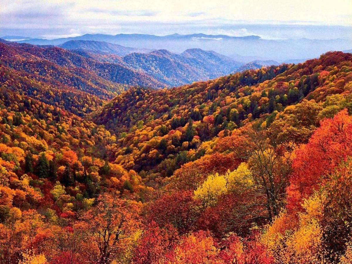 Wow Views!!-Mountain Escape-Outdoor Pool-Close To Downtown-Wifi-Cable-Private Balcony Gatlinburg Eksteriør bilde